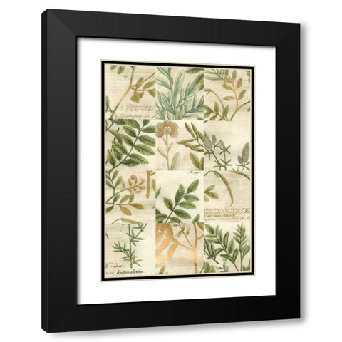 Garden Grid I Black Modern Wood Framed Art Print with Double Matting by Weinmann, Johann