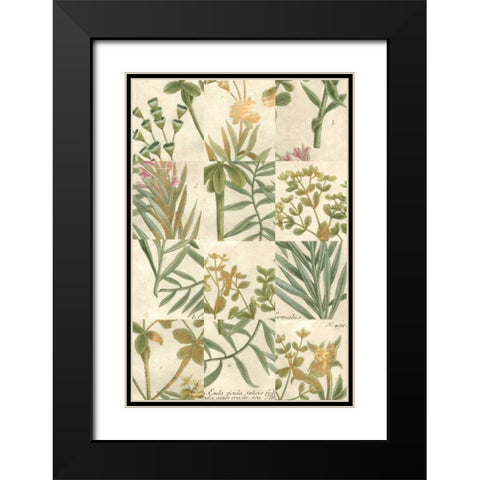 Garden Grid II Black Modern Wood Framed Art Print with Double Matting by Weinmann, Johann