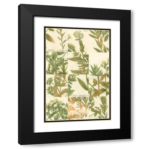 Garden Grid III Black Modern Wood Framed Art Print with Double Matting by Weinmann, Johann