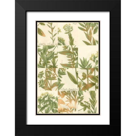 Garden Grid III Black Modern Wood Framed Art Print with Double Matting by Weinmann, Johann