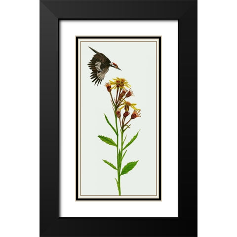 Tephroseris Flammea I Black Modern Wood Framed Art Print with Double Matting by Wang, Melissa