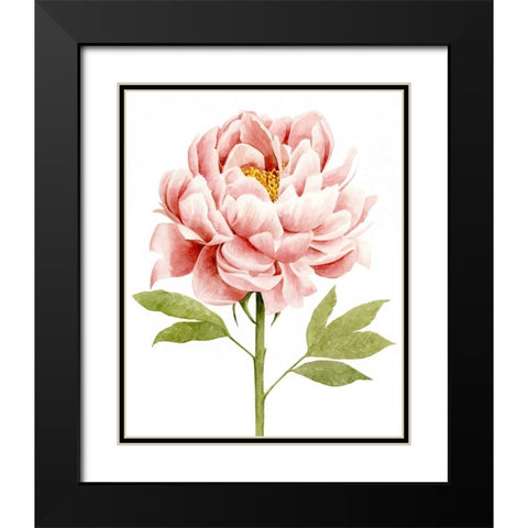 Watercolor Peony II Black Modern Wood Framed Art Print with Double Matting by Popp, Grace