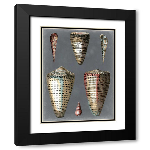 Midnight Shells I Black Modern Wood Framed Art Print with Double Matting by Redoute, Pierre