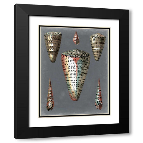 Midnight Shells II Black Modern Wood Framed Art Print with Double Matting by Redoute, Pierre