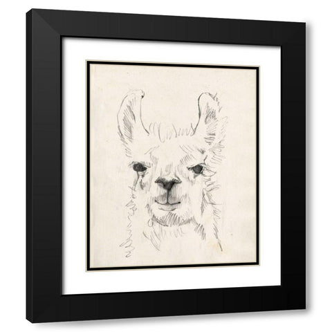 Llama Portrait I Black Modern Wood Framed Art Print with Double Matting by Goldberger, Jennifer