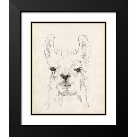 Llama Portrait I Black Modern Wood Framed Art Print with Double Matting by Goldberger, Jennifer