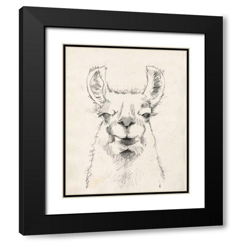 Llama Portrait II Black Modern Wood Framed Art Print with Double Matting by Goldberger, Jennifer