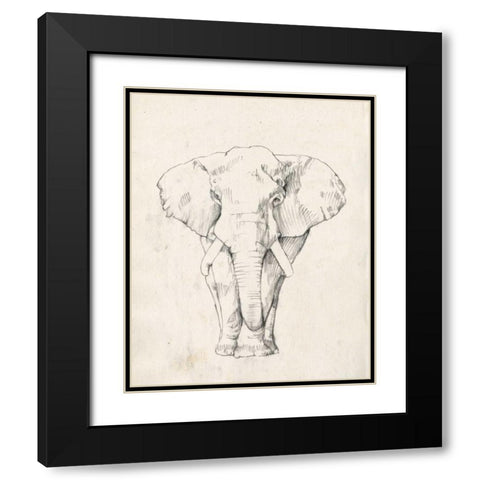 Elephant Portrait I Black Modern Wood Framed Art Print with Double Matting by Goldberger, Jennifer