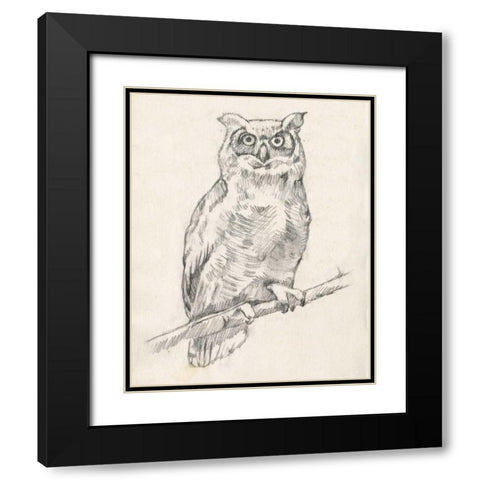 Owl Portrait I Black Modern Wood Framed Art Print with Double Matting by Goldberger, Jennifer