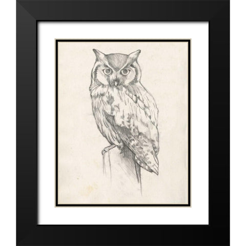 Owl Portrait II Black Modern Wood Framed Art Print with Double Matting by Goldberger, Jennifer