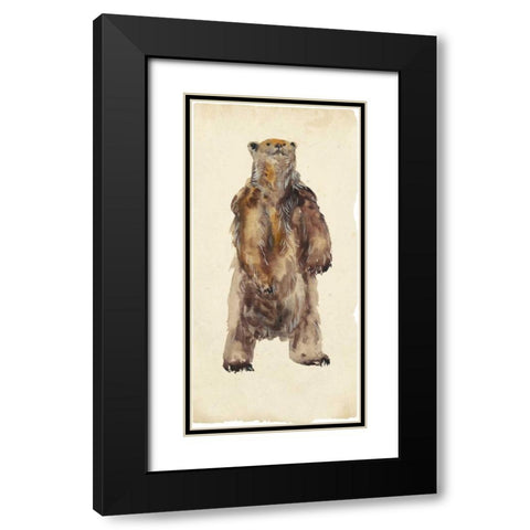 Brown Bear Stare I Black Modern Wood Framed Art Print with Double Matting by Wang, Melissa