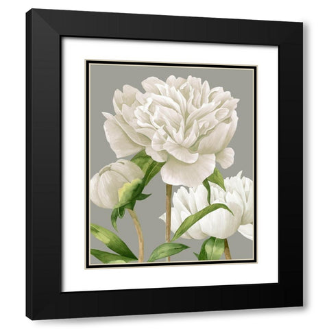 White Peonies II Black Modern Wood Framed Art Print with Double Matting by Popp, Grace