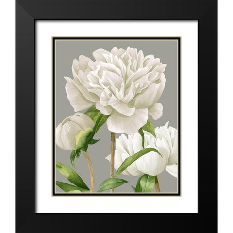 White Peonies II Black Modern Wood Framed Art Print with Double Matting by Popp, Grace