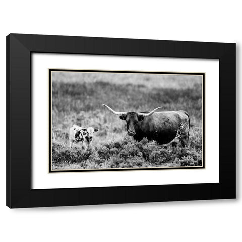 B and W Longhorn II Black Modern Wood Framed Art Print with Double Matting by Stockton, Tyler