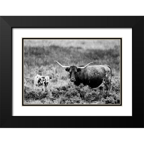 B and W Longhorn II Black Modern Wood Framed Art Print with Double Matting by Stockton, Tyler