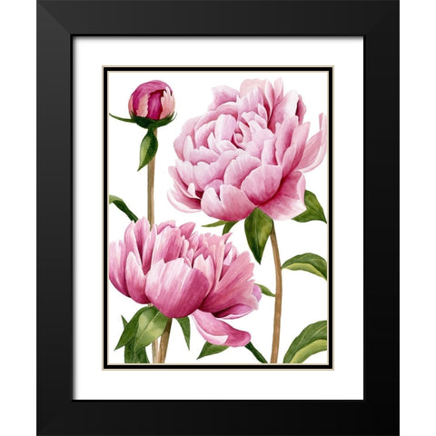 Winsome Peonies I Black Modern Wood Framed Art Print with Double Matting by Popp, Grace