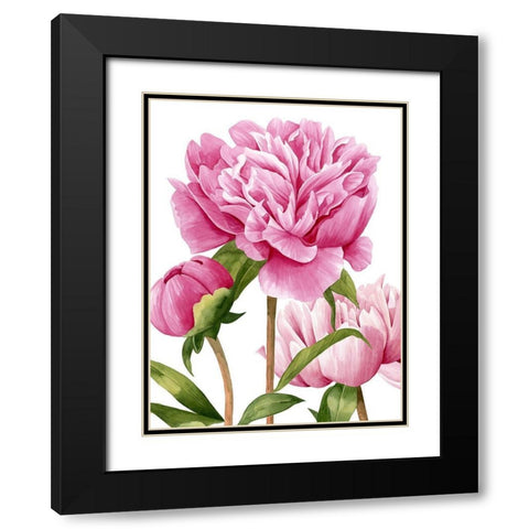 Winsome Peonies II Black Modern Wood Framed Art Print with Double Matting by Popp, Grace
