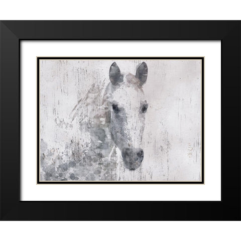Dapple Horse I Black Modern Wood Framed Art Print with Double Matting by Orlov, Irena