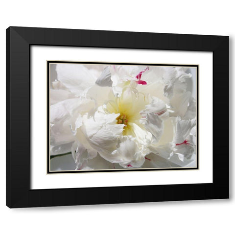 Breathless II Black Modern Wood Framed Art Print with Double Matting by Orlov, Irena