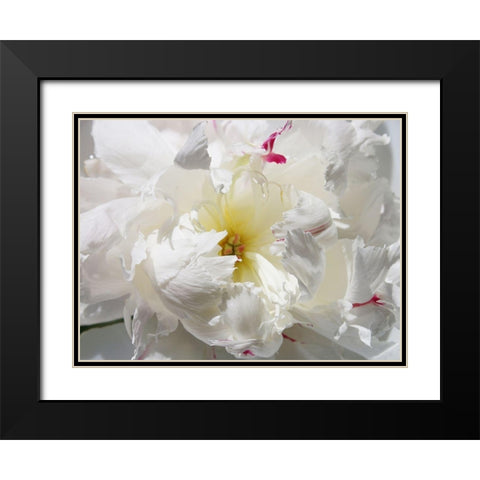 Breathless II Black Modern Wood Framed Art Print with Double Matting by Orlov, Irena