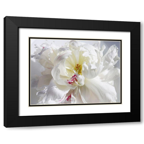 Breathless V Black Modern Wood Framed Art Print with Double Matting by Orlov, Irena