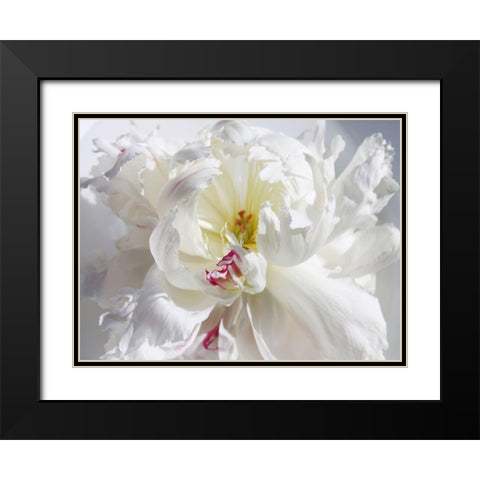 Breathless V Black Modern Wood Framed Art Print with Double Matting by Orlov, Irena