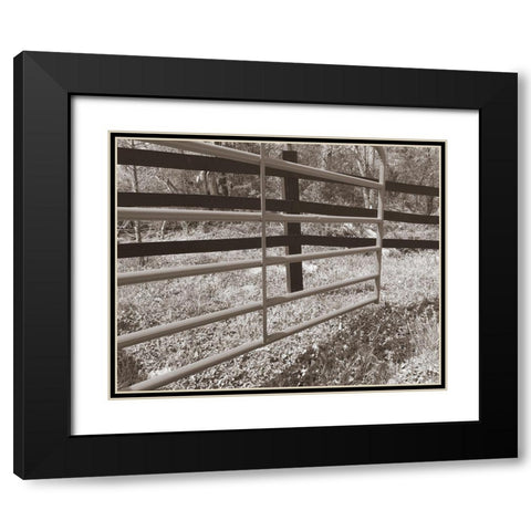 Sepia Farm Study I Black Modern Wood Framed Art Print with Double Matting by Ludwig, Alicia