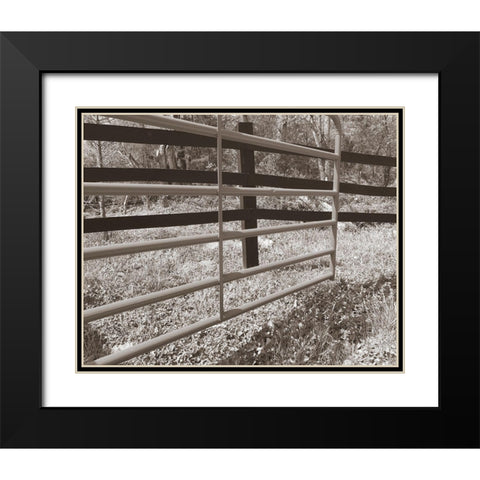 Sepia Farm Study I Black Modern Wood Framed Art Print with Double Matting by Ludwig, Alicia