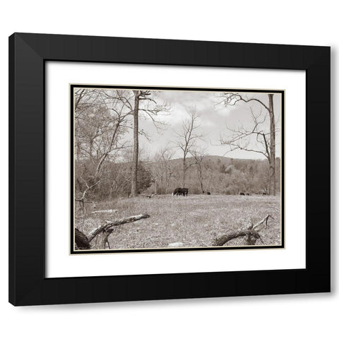 Sepia Farm Study II Black Modern Wood Framed Art Print with Double Matting by Ludwig, Alicia