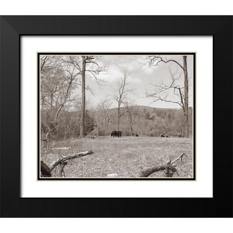 Sepia Farm Study II Black Modern Wood Framed Art Print with Double Matting by Ludwig, Alicia