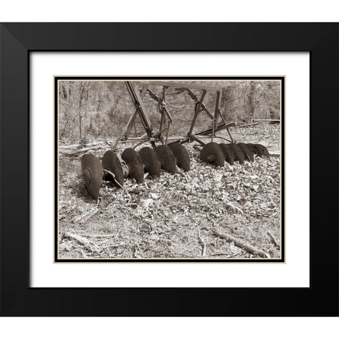 Sepia Farm Study III Black Modern Wood Framed Art Print with Double Matting by Ludwig, Alicia