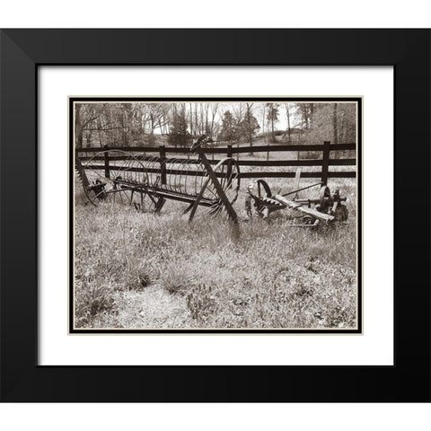 Sepia Farm Study IV Black Modern Wood Framed Art Print with Double Matting by Ludwig, Alicia