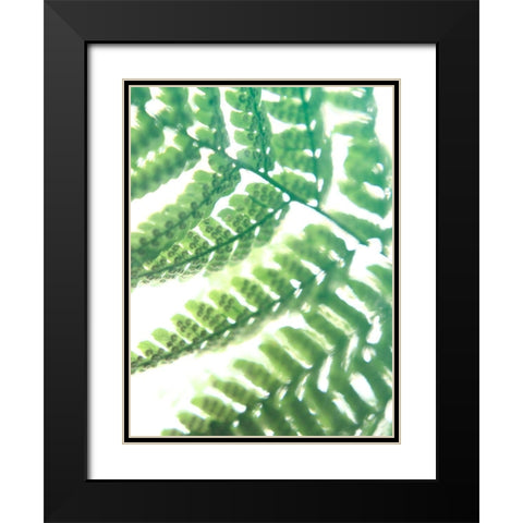 Fern Glow II Black Modern Wood Framed Art Print with Double Matting by Johnson, Jason