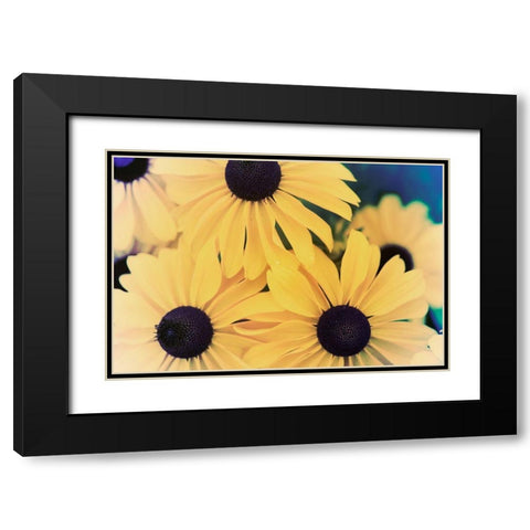 Susans II Black Modern Wood Framed Art Print with Double Matting by Johnson, Jason