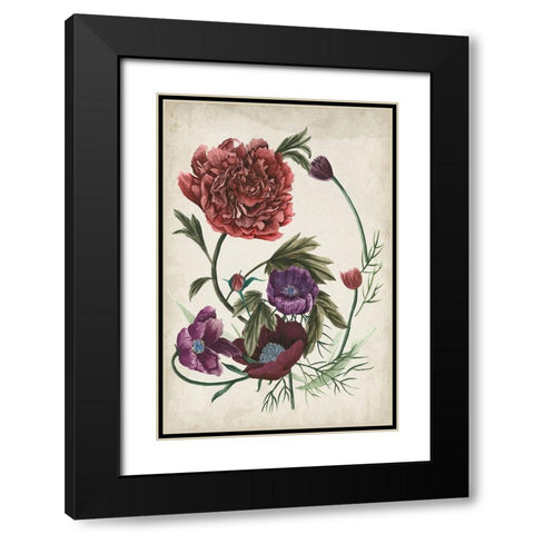 Antique Peony I Black Modern Wood Framed Art Print with Double Matting by Wang, Melissa