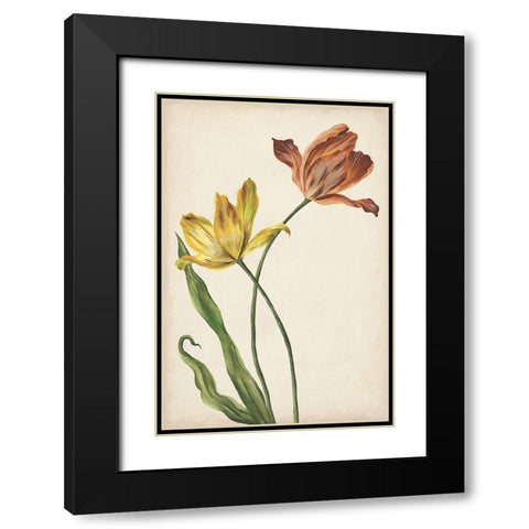 Two Tulips I Black Modern Wood Framed Art Print with Double Matting by Wang, Melissa