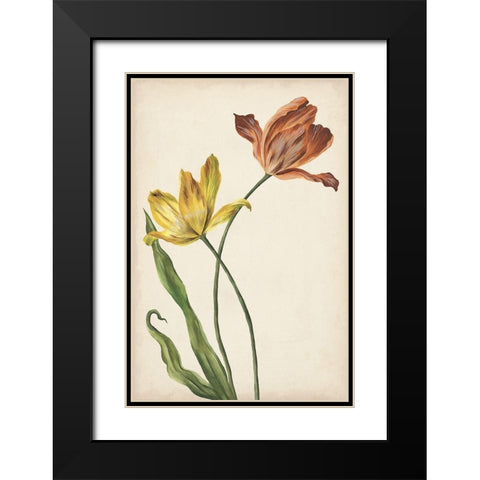 Two Tulips I Black Modern Wood Framed Art Print with Double Matting by Wang, Melissa