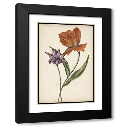 Two Tulips II Black Modern Wood Framed Art Print with Double Matting by Wang, Melissa