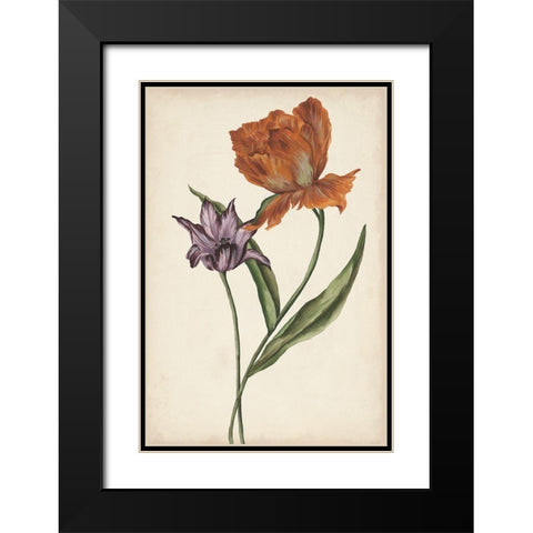 Two Tulips II Black Modern Wood Framed Art Print with Double Matting by Wang, Melissa