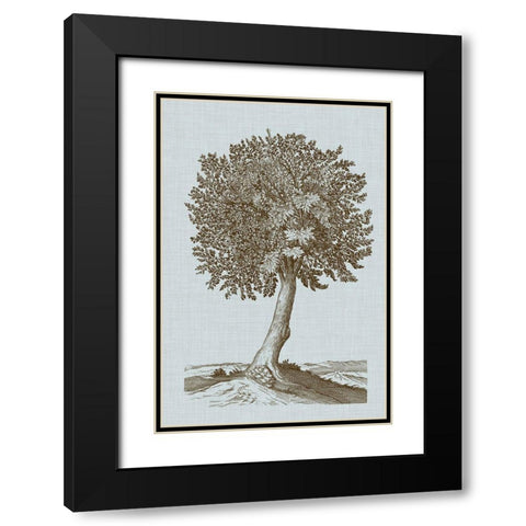 Antique Tree in Sepia I Black Modern Wood Framed Art Print with Double Matting by Vision Studio