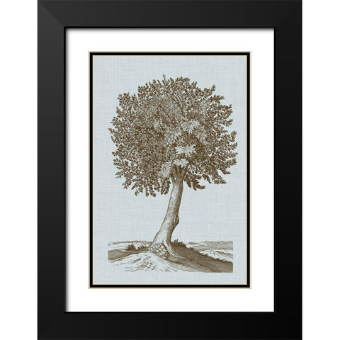 Antique Tree in Sepia I Black Modern Wood Framed Art Print with Double Matting by Vision Studio