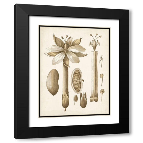 Ochre Botanical I Black Modern Wood Framed Art Print with Double Matting by Vision Studio