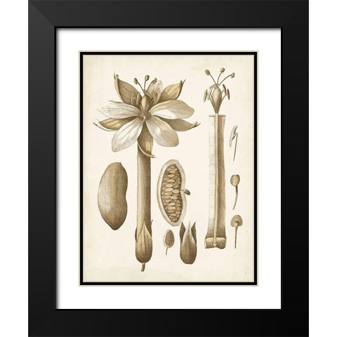 Ochre Botanical I Black Modern Wood Framed Art Print with Double Matting by Vision Studio