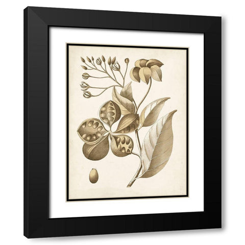 Ochre Botanical II Black Modern Wood Framed Art Print with Double Matting by Vision Studio