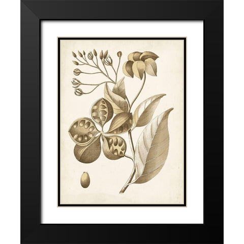 Ochre Botanical II Black Modern Wood Framed Art Print with Double Matting by Vision Studio