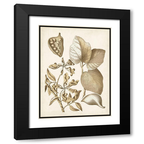 Ochre Botanical III Black Modern Wood Framed Art Print with Double Matting by Vision Studio