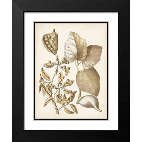 Ochre Botanical III Black Modern Wood Framed Art Print with Double Matting by Vision Studio