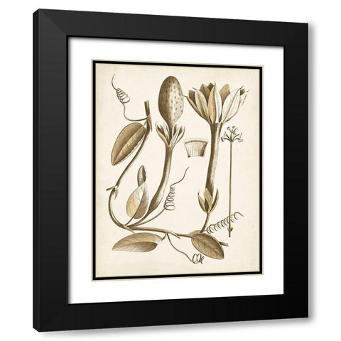 Ochre Botanical IV Black Modern Wood Framed Art Print with Double Matting by Vision Studio