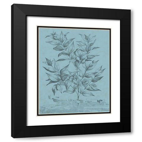 Botanical on Teal I Black Modern Wood Framed Art Print with Double Matting by Vision Studio