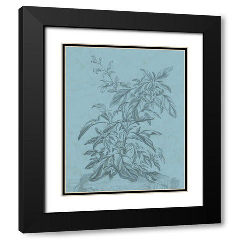Botanical on Teal III Black Modern Wood Framed Art Print with Double Matting by Vision Studio